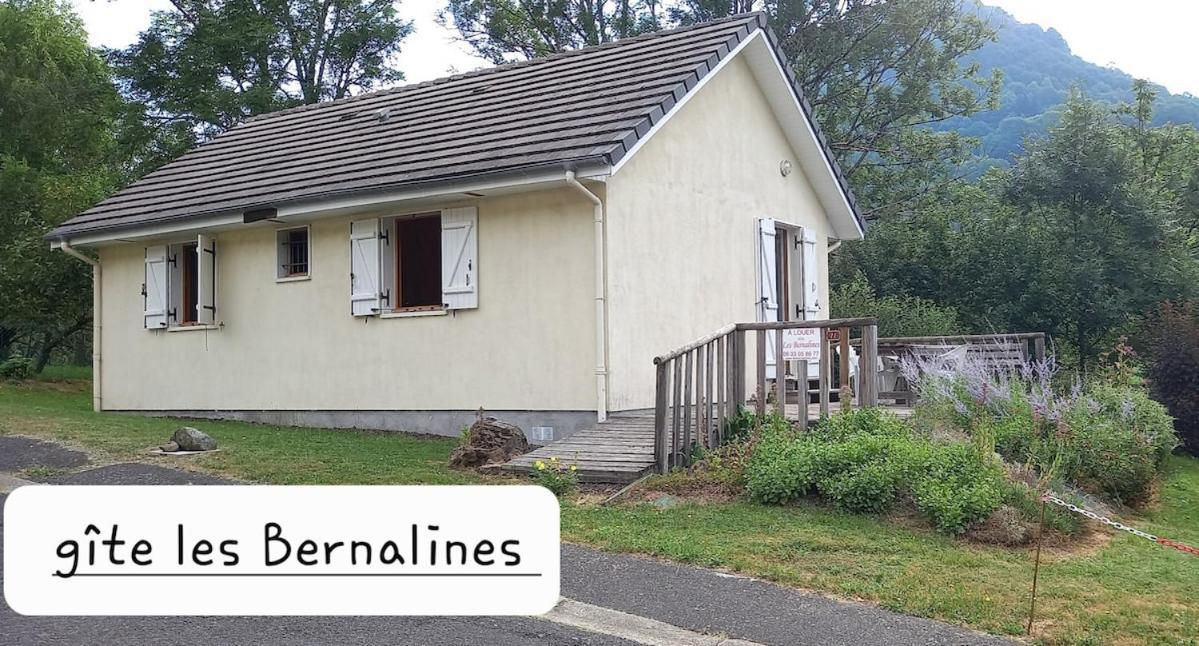 Cantal Gite Au Pied Du Griou Super Lioran Saint-Jacques-des-Blats المظهر الخارجي الصورة